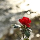 장성병원 중앙 이미지