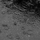 원지분식 이미지