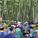 담양 리조트가족호텔 이미지