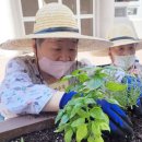 울산과학기술원 융합경영대학원 이미지