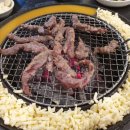 갈매기먹짱(언양) 이미지