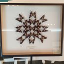 나비공원　 이미지