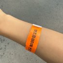 렛츠독 | 서울 근교 강아지수영장 렛츠플레이독 웅진플레이도시점