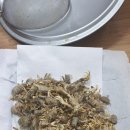 정진태권도 이미지