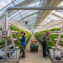 농업기술센터 부속동 | [공지] [KIMS창업플랫폼대안대학] 청주 증평 하우스+컨 하이브리드 수직농업센터 기능성식물 프로젝트