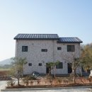 상사의숲 이미지