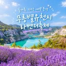 삼화밧데리 | 무릉별유천지 라벤더축제 2026 총정리 입장료부터 야간개장 동해 1박2일 코스까지