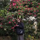 올레요리조트 | 제주) 금호제주리조트 프리미어스위트 - 해안산책로가 멋진 가성비 숙소 내돈내산 솔직 숙박후기