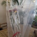 고봉민김밥(오산세교점) | [26년 5월 일기-2] 호르몬이 요동치는 막달 스타트🔥