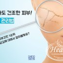 (주)엠에스코 네이버블로그