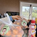 삼화농장 | [구제주] 삼화지구 귤따기 체험 가능한 곳 '제주아꼼이네' 체험 후기