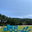 때뿌루민박 이미지