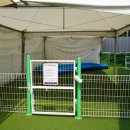 댕글라이프 이미지