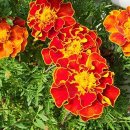 상윤농장 이미지