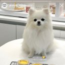 연두네놀이터 이미지