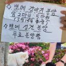 오천읍행정복지센터 이미지
