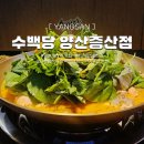 양산 맛집, 양산 국밥, 양산 증산 맛집 증산 수백당 방문 후기, 양산 프리미엄 한식 다이닝이 증산에 떴다