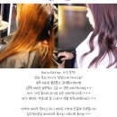 모델헤어샵 이미지