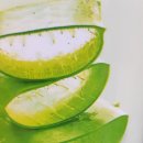 (주)알로에베라코리아 이미지