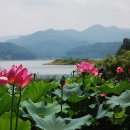 대청농장 이미지