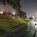 ㈜오지아이건설 | 수원 가볼만한곳 화서공원 장안공원 억새명소 화성행궁야경 방화수류정