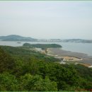 신도장식