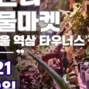 식물마켓