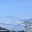 정화슈퍼마켓 | [싱가포르 파크로얄 픽커링 호텔 후기 조식 후기 포함]