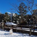 개린이세상 이미지