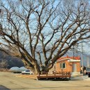 부포마을회관 이미지