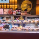 레몬비 삼산점 | 울산 삼산 파스쿠찌 삼산무궁화점 : 비오는 날 방문한 에소플 아포가토 민트크루 솔직 후기