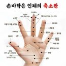 미다스의손