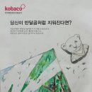 공익광고- 나지은, 이지수, 서유리 이미지