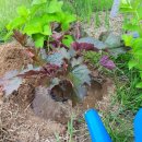 (주)세농 이미지