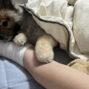 조전2리마을회관 이미지