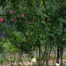 마음을 담은 힐링도예 이미지