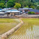 온곡마을 이미지