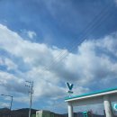 워시(WASH) | COME IN WASH(컴인 워시) 양재점 프리미엄 세차 후기