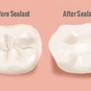 첨단사랑동물병원 이미지