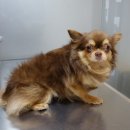 미암공원 이미지