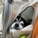 밥맛나는세상 구신사거리점 | 늦장부리다 이제 올리는 주간일기