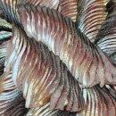 훈이마트 이미지