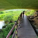 지방도70호선(1) 이미지