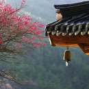 (사)부산광역시수영구장애인협회 이미지