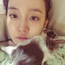 레인보우 메디칼 이미지