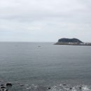 서귀포자연휴양림야영장 이미지