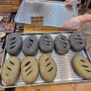 아름동_범지기1108동앞 | 세종 굿뉴스 치아바타 후기 | 오픈런 빵 맛집 예약·메뉴·보관법 총정리