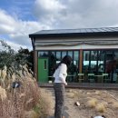 우진택시노동조합 | 제주여행) 해돋이명소 새해 30살 기념 일출보기