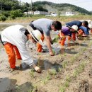 문광초등학교 병설유치원 이미지