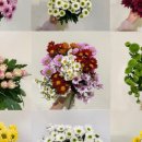 영남화훼농협 이미지